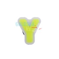 Y (fluorescent)